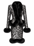 Grey Leopard Jacket · Sophia by Junie ·