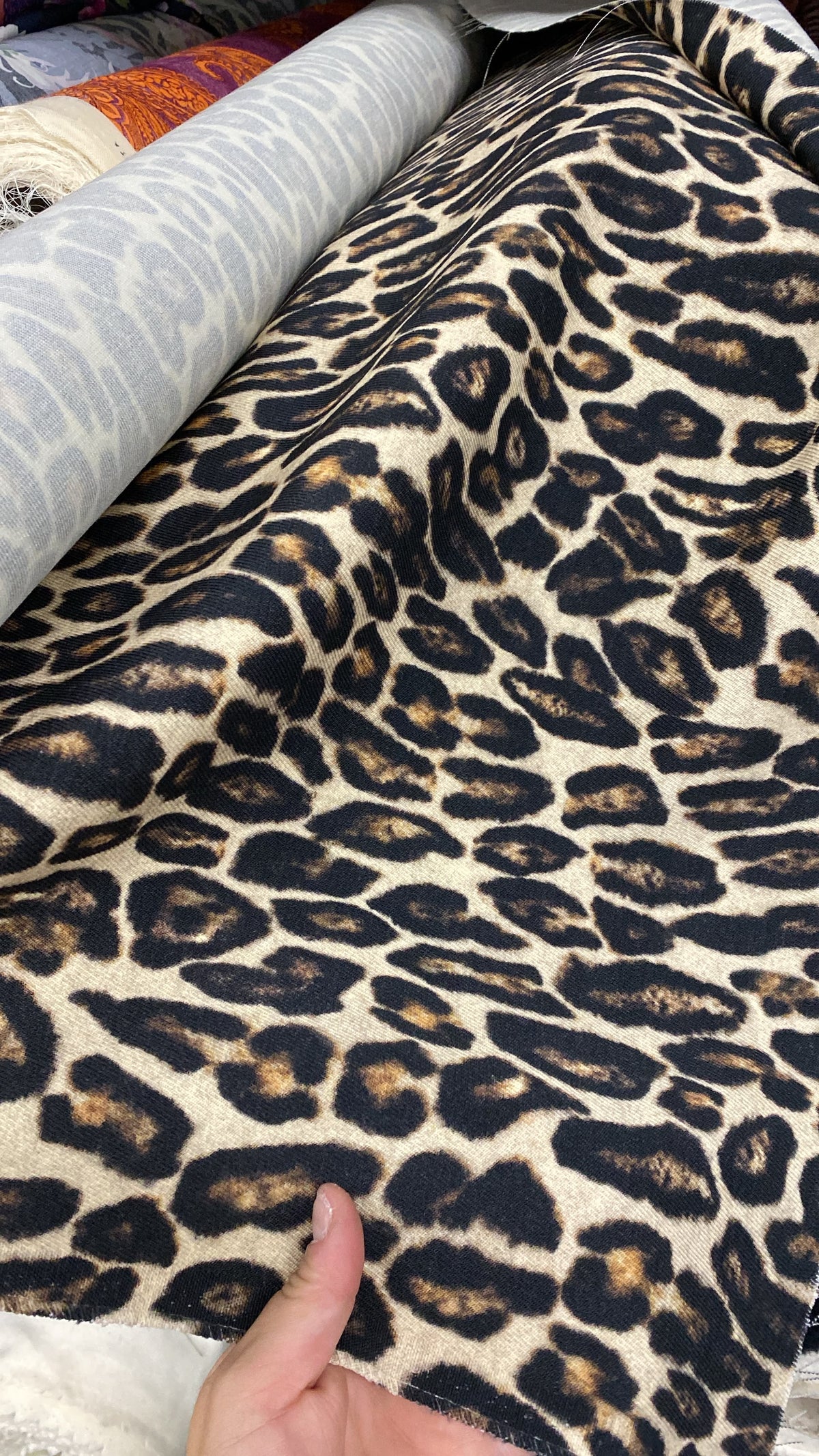 Leopard Jacket · Sophia by Junie ·
