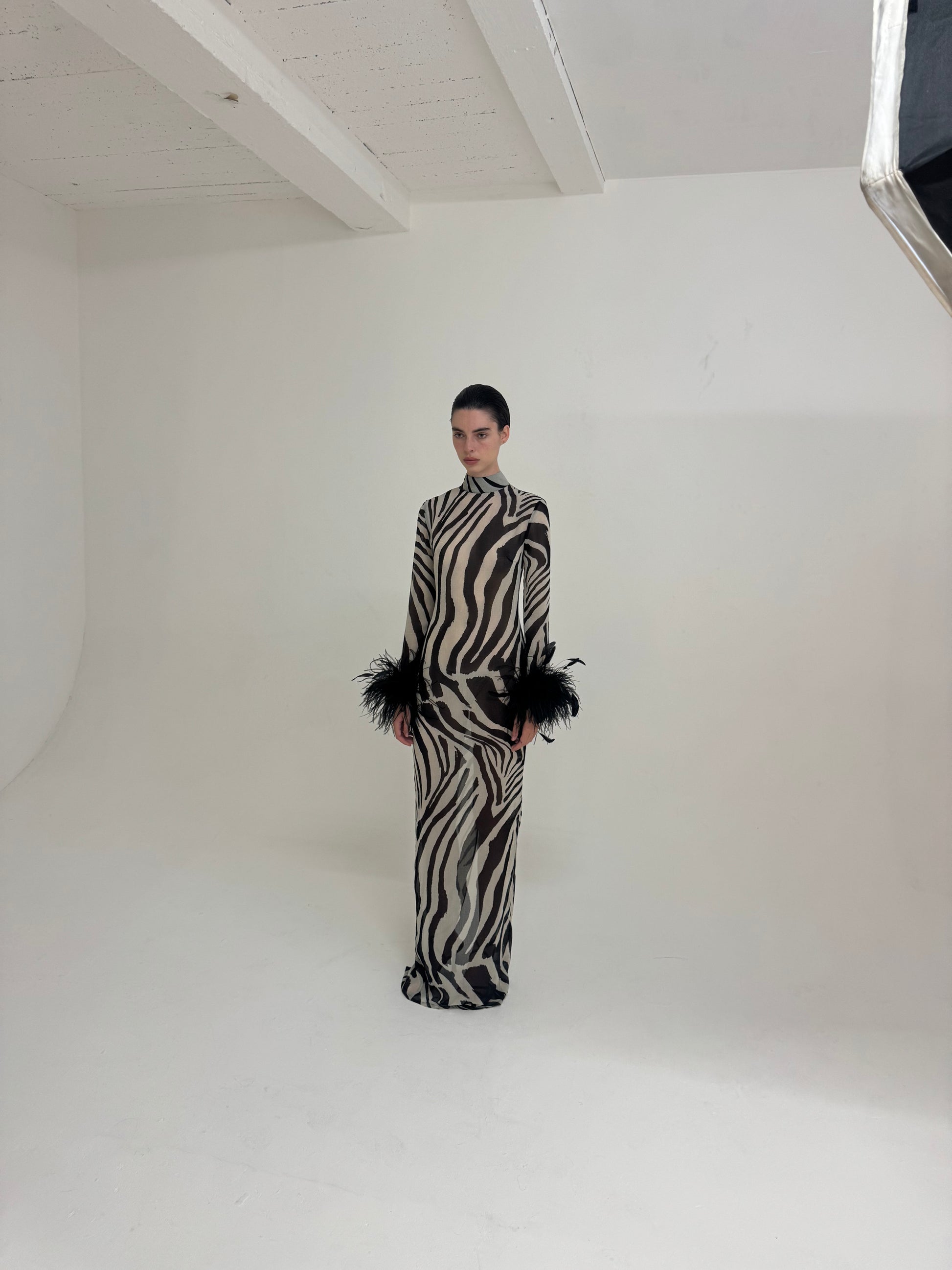 Immy Dress - Zebra