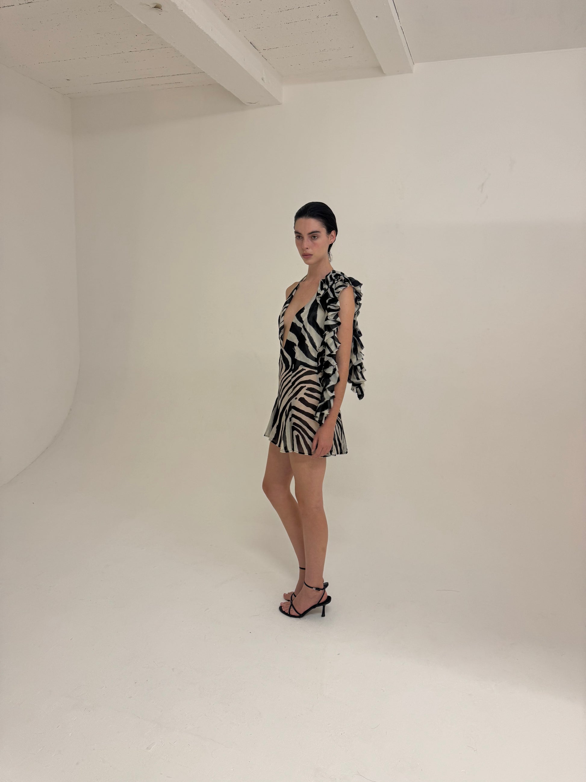 Zizi Dress - Zebra